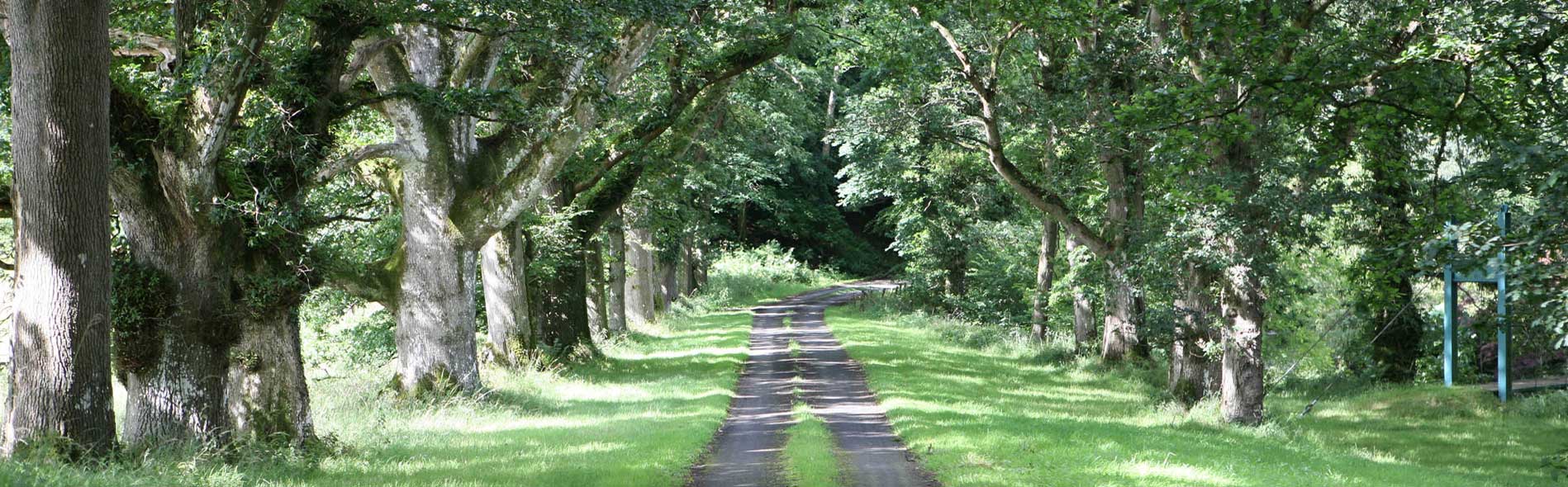 stately_home_northern_ireland_slide-03.jpg